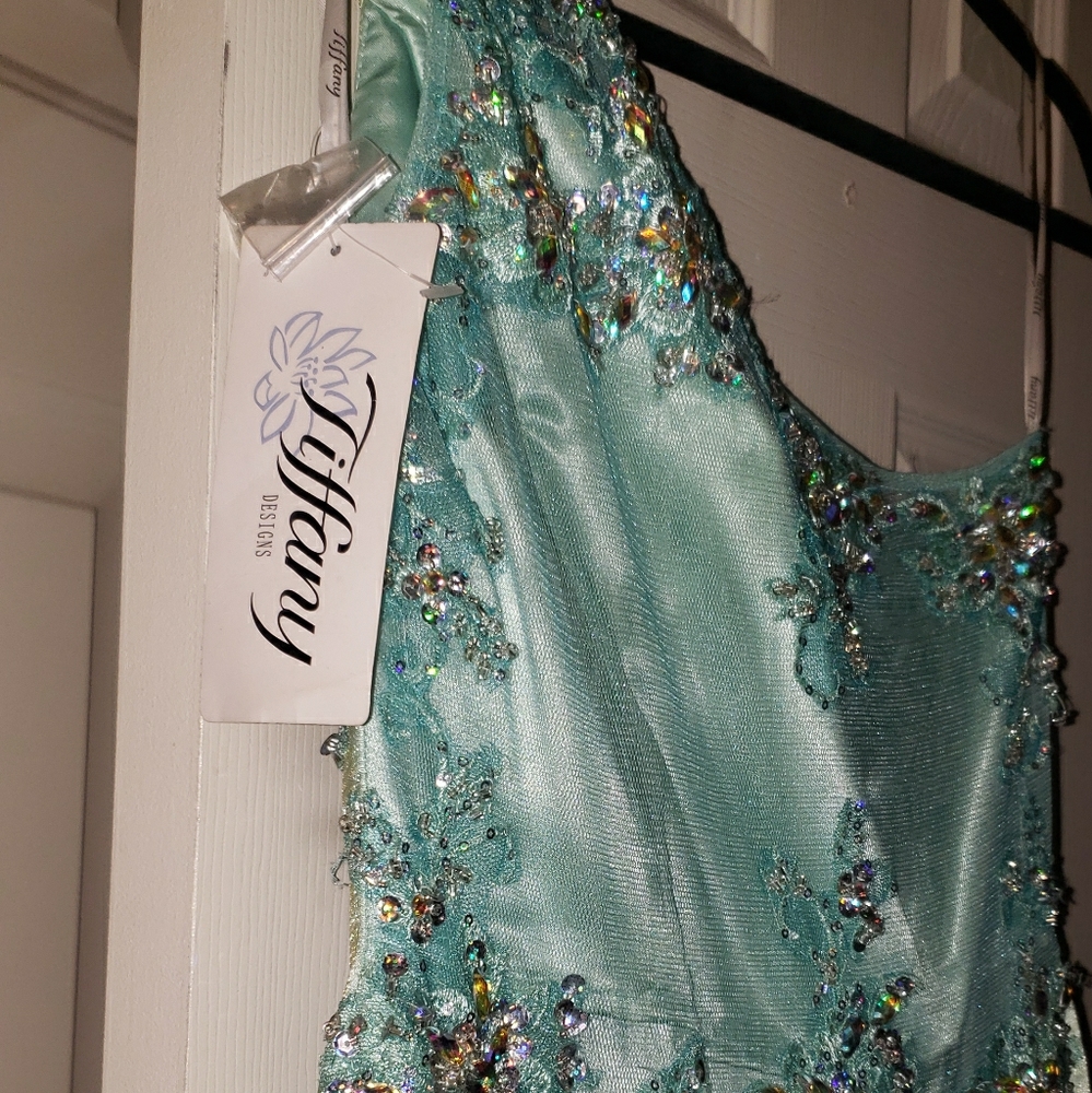 Pageant or Prom Dress